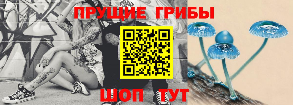 Псилоцибиновые грибы Psilocybe  Вход с VPN  Галлюциногенные грибы Magic Shrooms  Анжеро-Судженск 